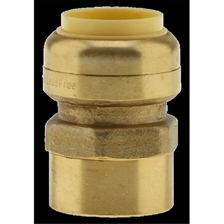 Homewardbound 1 x 1 in. CTS x FPT Push Fit Adapter HO3350788